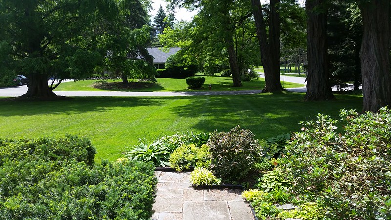 A Plus Services - Professional Lawn Care | Laurel, MD